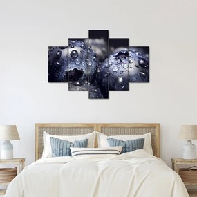 Vízcseppekkel ellátott gyümölcs képe (150x105 cm)
