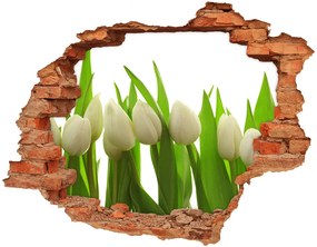 Lyuk 3d fali matrica Fehér tulipán nd-c-40774671
