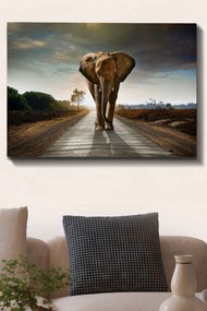 Kanvas vászonkép, 70×100 cm – TR529TCR1570