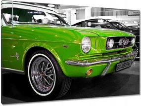 Képek 120x80 Lime klasszikus Ford