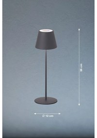 Szürke LED szabályozható-mozgásérzékelős asztali lámpa fém búrával (magasság 38 cm) Consenza – Fischer &amp; Honsel