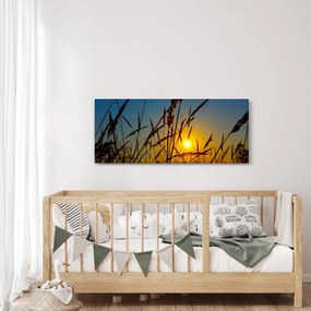 Kép - naplemente a réten (120x50 cm)