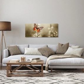Pillangó képe (120x50 cm)