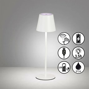 FISHER&HONSEL 850354 VILETTO Kültéri Dekorációs Lámpa LED IP54