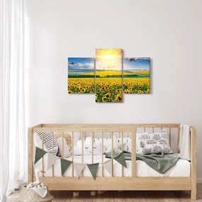 Kép - Napraforgó mező (90x60 cm)