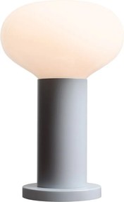 Aldex FLO GREY S 7000B22_S Asztali lámpa 1x10W/E14