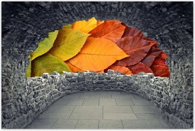 Poszterek 60x40 Őszi színes levelek Levelek az ősz színeiben