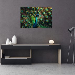 Kép – Pávatoll (90x60 cm)