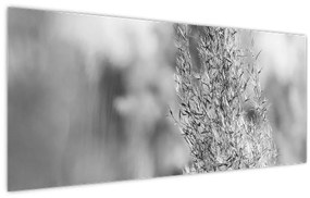 Kép - Boho pampafű (120x50 cm)