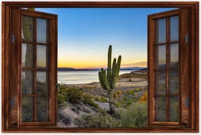 Poszterek 60x40 Kaktuszok a sivatagban