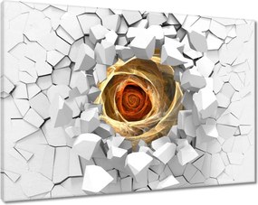 Festmények 120x80 Fraktál rózsa