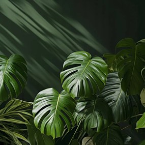 Poszter 100x100cm Suttogó levelek