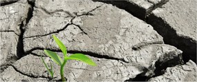 Kép - Repedések (120x50 cm)