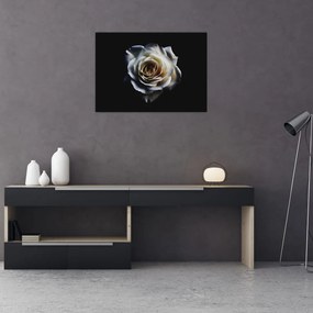 Fehér rózsa képe (üvegen) (70x50 cm)