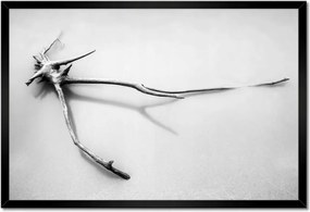 Poszter keretben 60x40 Tenger Gyökér a tengerparton