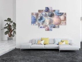 Kép - Kagylógyűjtemény (150x105 cm)
