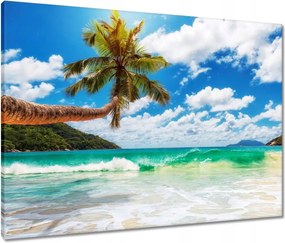 Vászonkép 80x60 Trópusok Tájkép Pálmafák