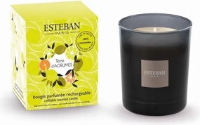 Esteban Paris Illatgyertya 180 g Terre dAgrumes illat