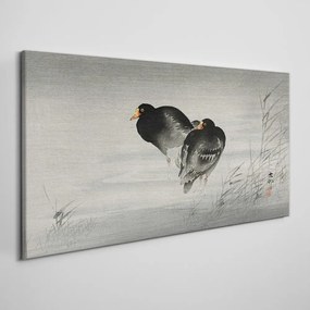 Vászonkép Állatok madarak víz