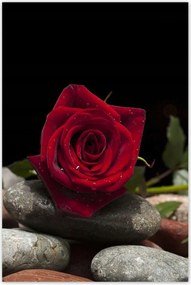 Poszterek 80x120 Spa Wellness Relaxáció Víz