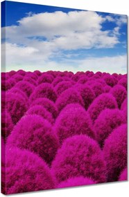 Vászonkép 30x40 Kifejező rét Tájkép