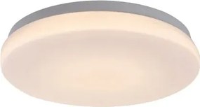 Lowar kültéri mennyezeti lámpa 12w 750lm ip44