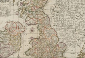 Flizelin tapéta Divatos 3D fali ragasztóval Antik térkép 152x104 Ragasztó