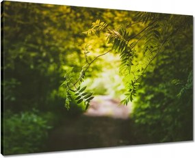 Vászonkép 70x50 Zöld levelek Levelek