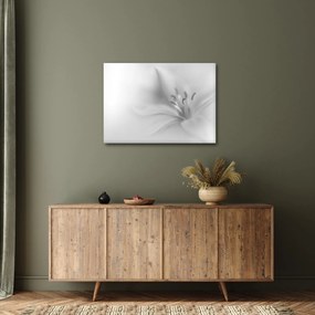Kép - Delicate Lily (70x50 cm)