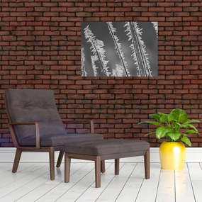 Üveg kép - Fagyos hideg (70x50 cm)