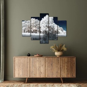 Kép - Hófehér fák (150x105 cm)