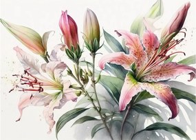 Kép - Liliomok, illusztrációk (70x50 cm)