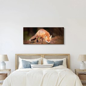 Kép - Róka az erdőben (120x50 cm)