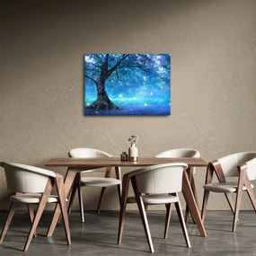 Kép - Misztikus erdő (70x50 cm)