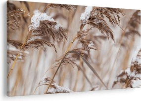 Kép - Lipnica (90x60 cm)