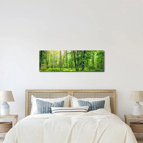 Kép - Tavaszi lomberdő (órával) (90x30 cm)
