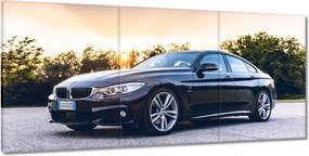 Képek 210x100 Fekete Bmw