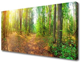 Vászonfotó Természet Erdei fák 100x50 cm