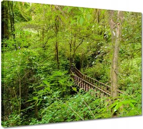 Vászonkép 50x40 Tájkép park