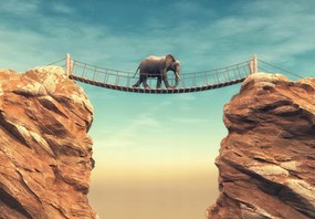 Fotótapéta Elefánt Híd ég kanyon flizelin Ragasztó Ajándék 415 x 290