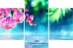 Kép - Orchidea (90x60 cm)