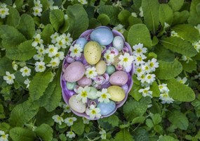 Poszter 100x70cm Húsvéti tojások kosárban 3, Assaf Frank