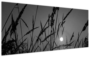 Kép - rét naplementével (120x50 cm)