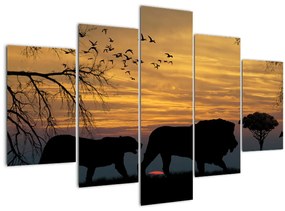 Safari képe (150x105 cm)