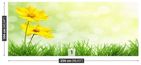 Fotótapéta sárga virágok 104x70 cm
