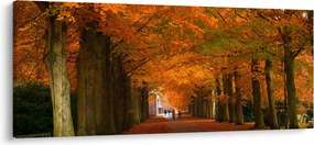 Kép - A Avenue of fák ősszel (120x50 cm)