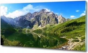 Fotó kép edzett üveg Levendula mező 100x70