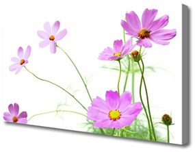 Vászonfotó virágok növények 125x50 cm