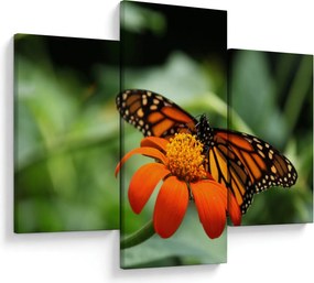 Pillangó képe a virágon (90x60 cm)
