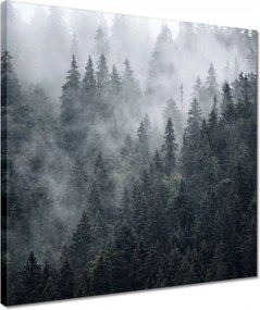 Vászonkép 40x40 Ködös hegyi táj